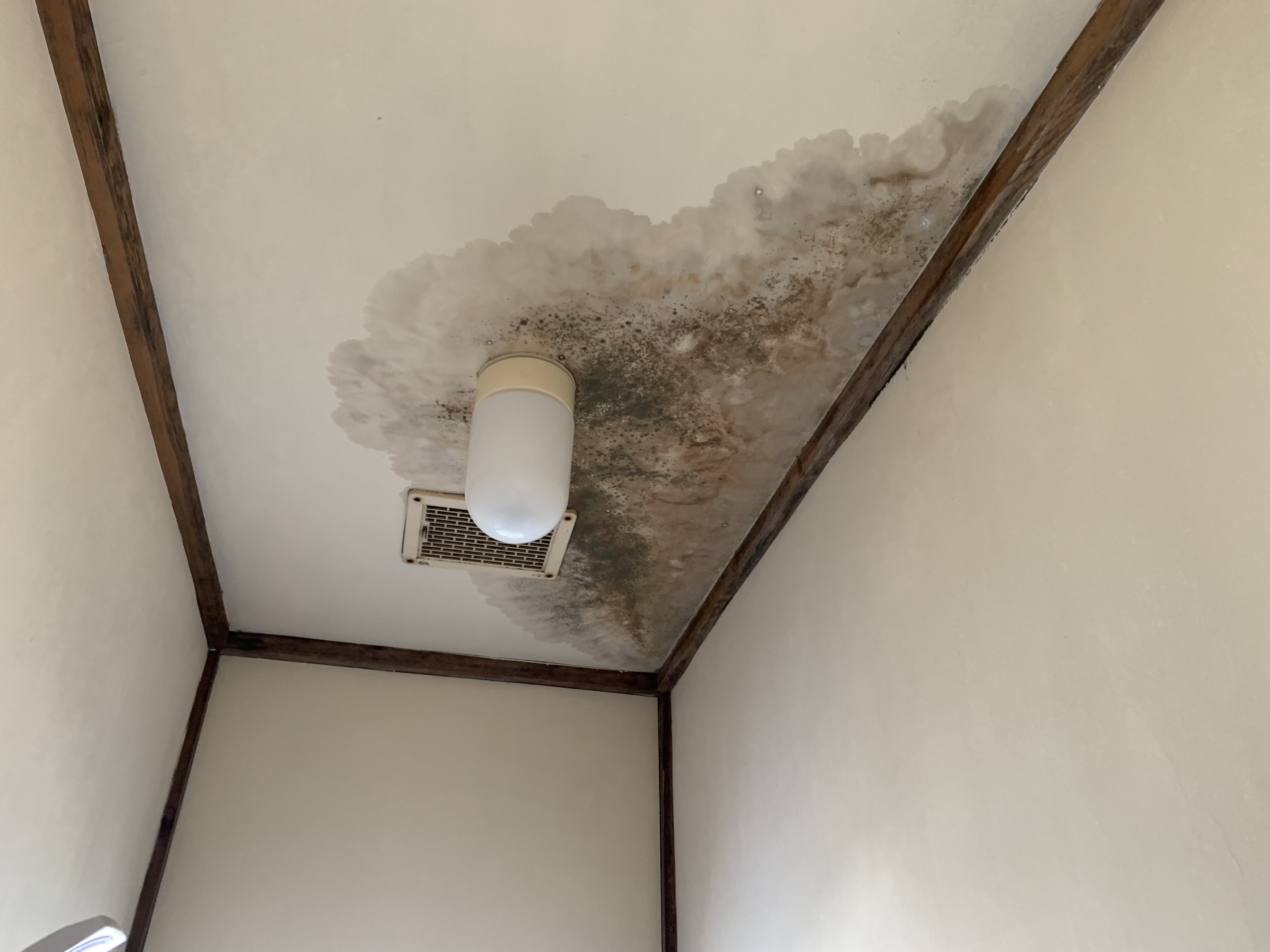 雨漏りの痕