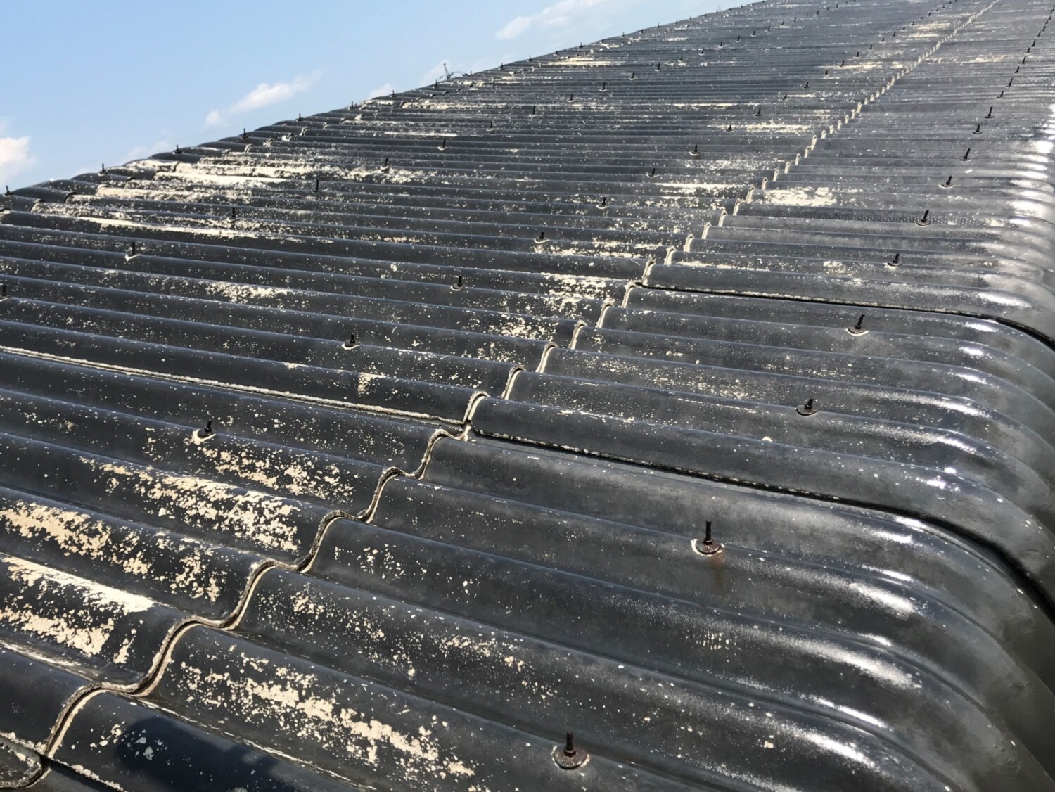 倉敷市 倉庫屋根塗装工事 Before