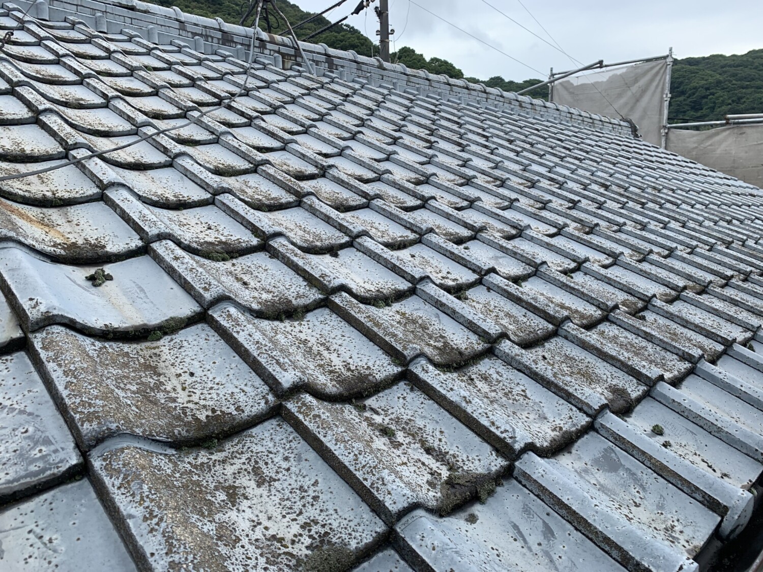 倉敷市 T様邸 屋根塗装 Before