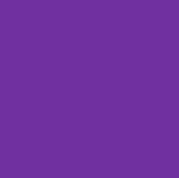 紫色　パープル